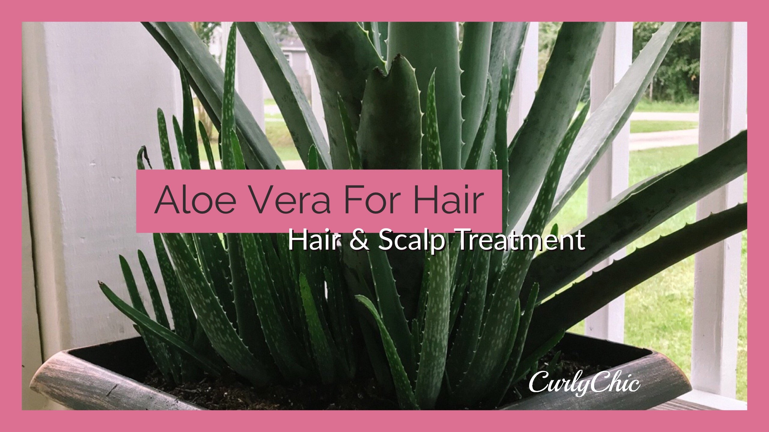 Aloe Vera For Hair